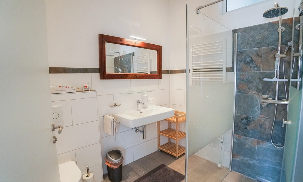 „Hahns Herberge“ – Innenraumaufnahme Badezimmer Seitenasicht; Eingangtüre, Spiegel, Waschbecken, WC und Handtuchhalter sowie die Dusche ist zu sehen. Klare Darstellung der Einrichtung.